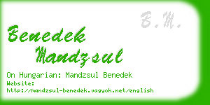 benedek mandzsul business card